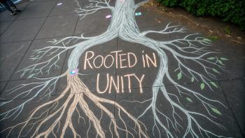 chalk drawing showing tree roots with the words Rooted in Unity